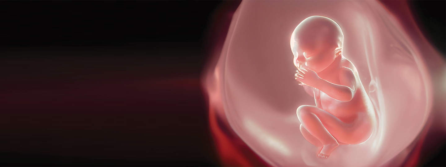 Embryo Reduction