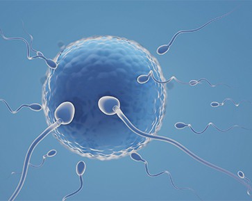 Sperm Retrieval Techniques